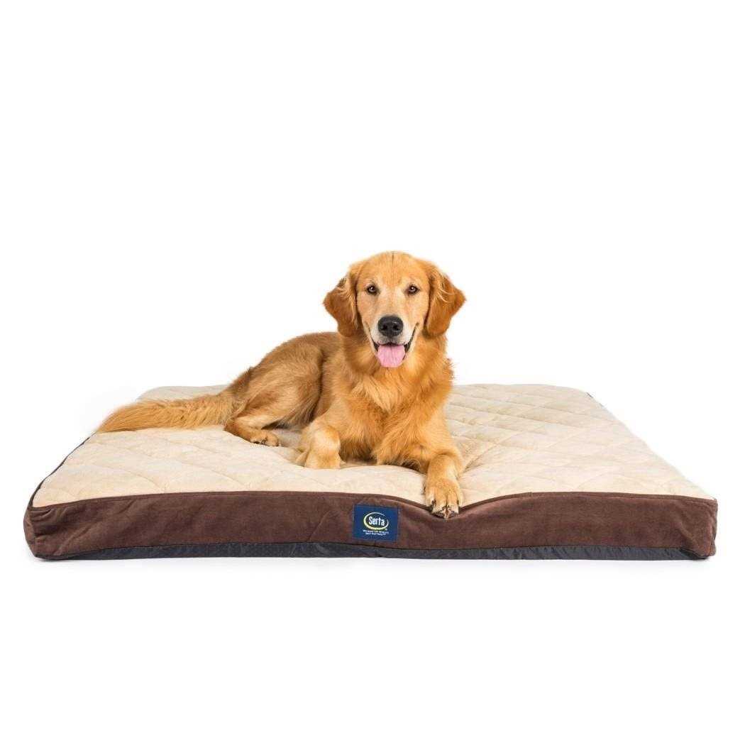 Serta Ortho Foam Quilted Pillowtop Pet Bed - Image 5