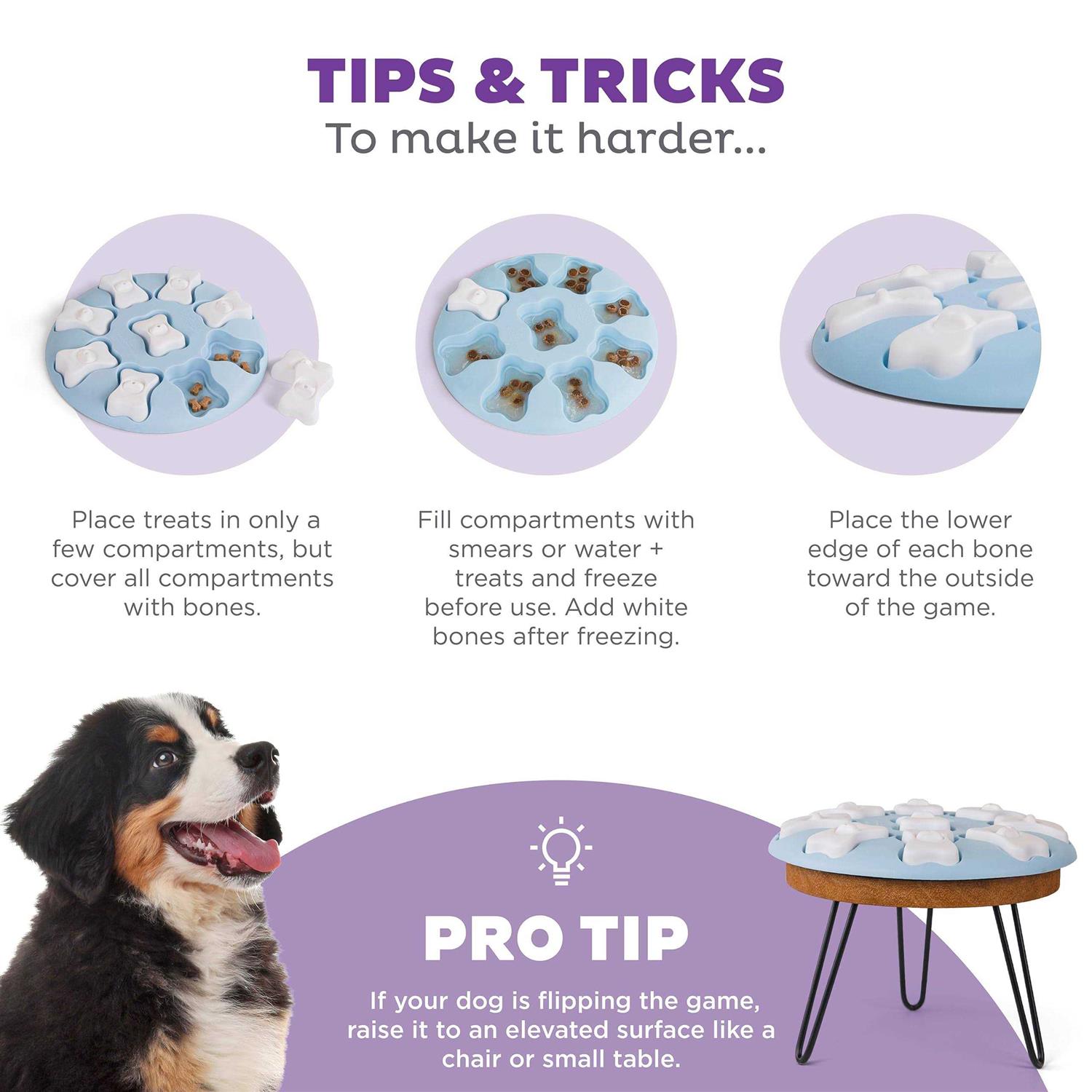 Outward Hound Puppy Smart Interactive Treat Puzzle Blue Dog Toy - Image 5