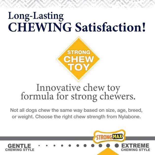 Nylabone Gourmet Style Strong Chew Wishbone Dog Toy - Image 3