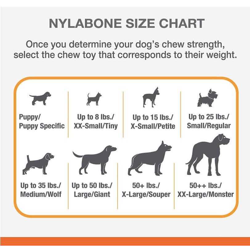 Nylabone Chew Wishbone Power Chew Dog Toy - Image 4