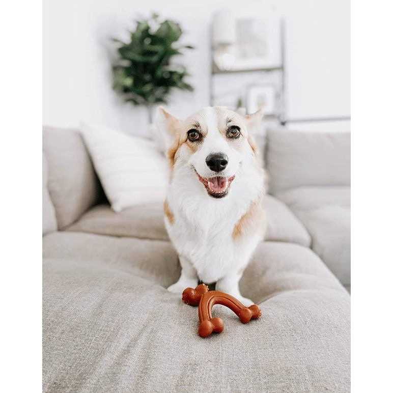 Nylabone Chew Wishbone Power Chew Dog Toy - Image 5