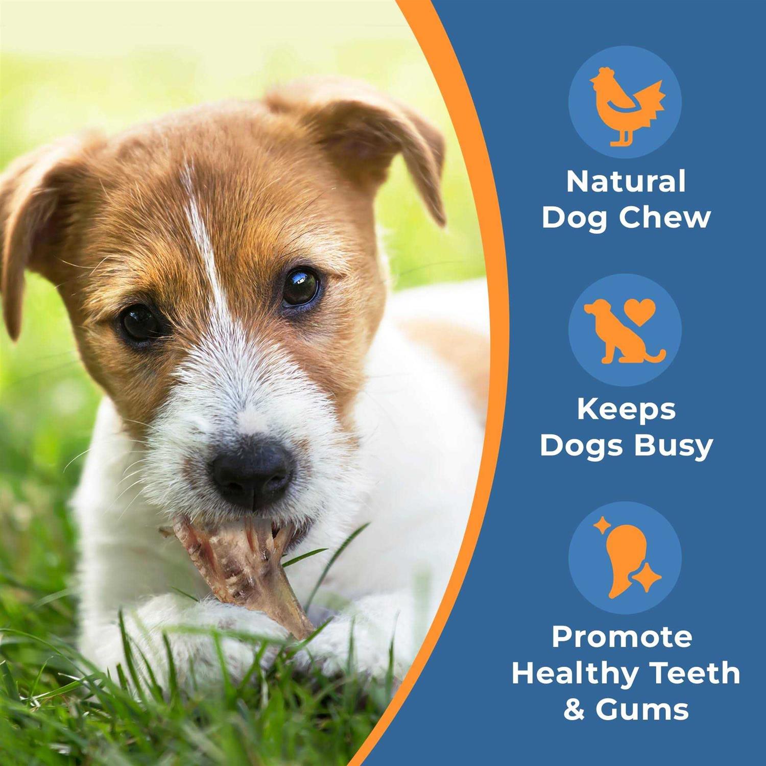 K9warehouse Chicken Feet Dog - Image 4