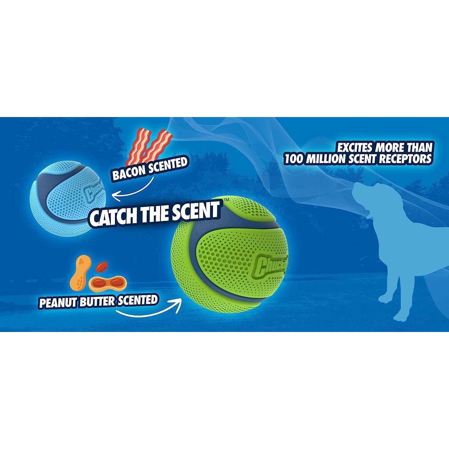 Chuckit! Sniff Fetch Ball Dog Toy - Image 5
