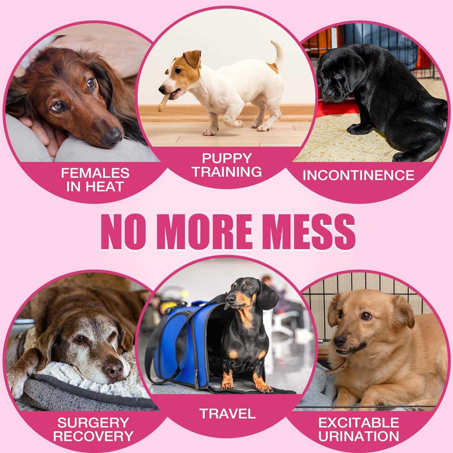 Dono Disposable Dog Diapers Female Super Absorbent Doggie Diaper Rapid-Dry Gel Technology Puppy Diapers - Image 3