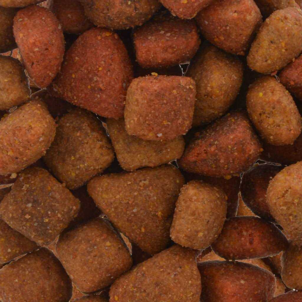 Gravy Train Beef Classic Dog Food - Image 5