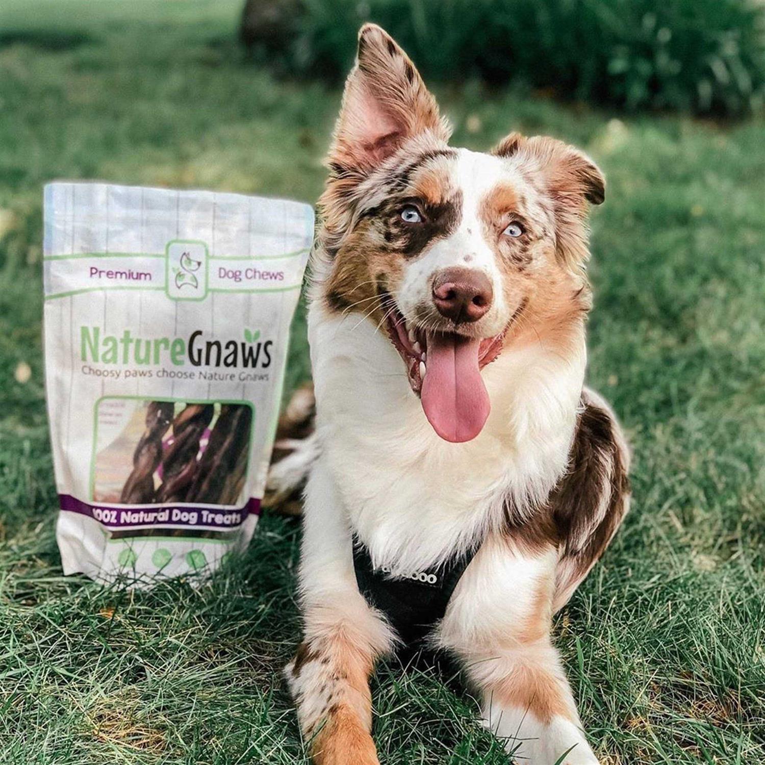 Nature Gnaws Braided Bully Sticks for Dogs Premium Natural Beef Bones - Image 5