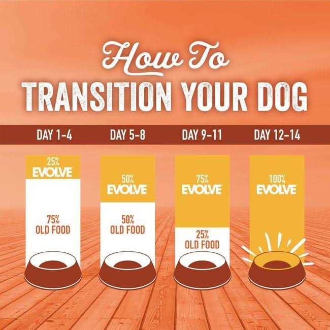 Evolve Grain Free Turkey and Sweet Potato Dog Food - Image 5