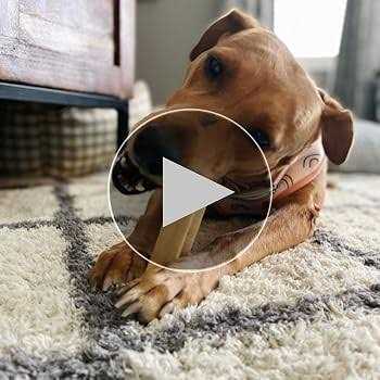 Pawstruck Natural Medium Himalayan Yak Cheese Dog Chew Treats - Image 4