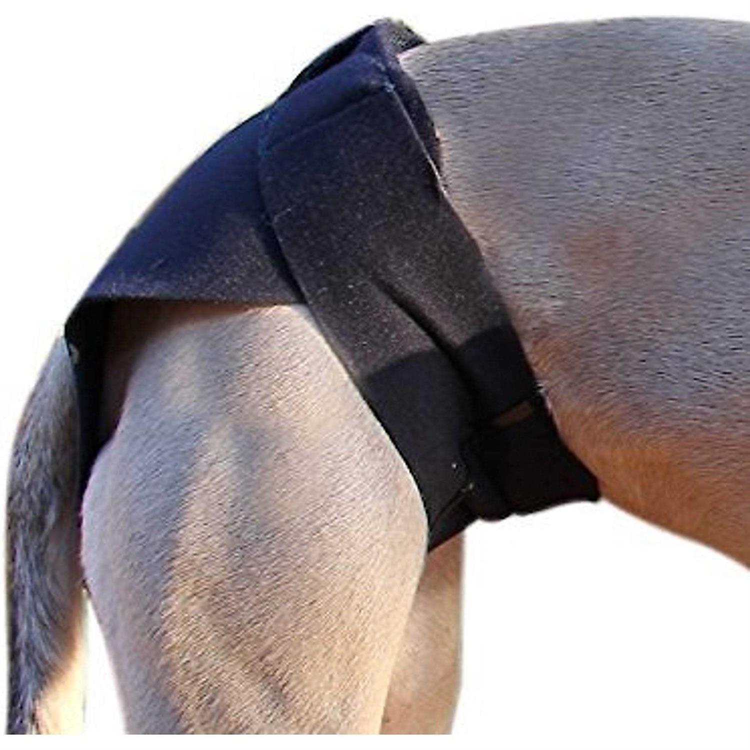 Healers Body Rear Module Dog Wrap - Image 3