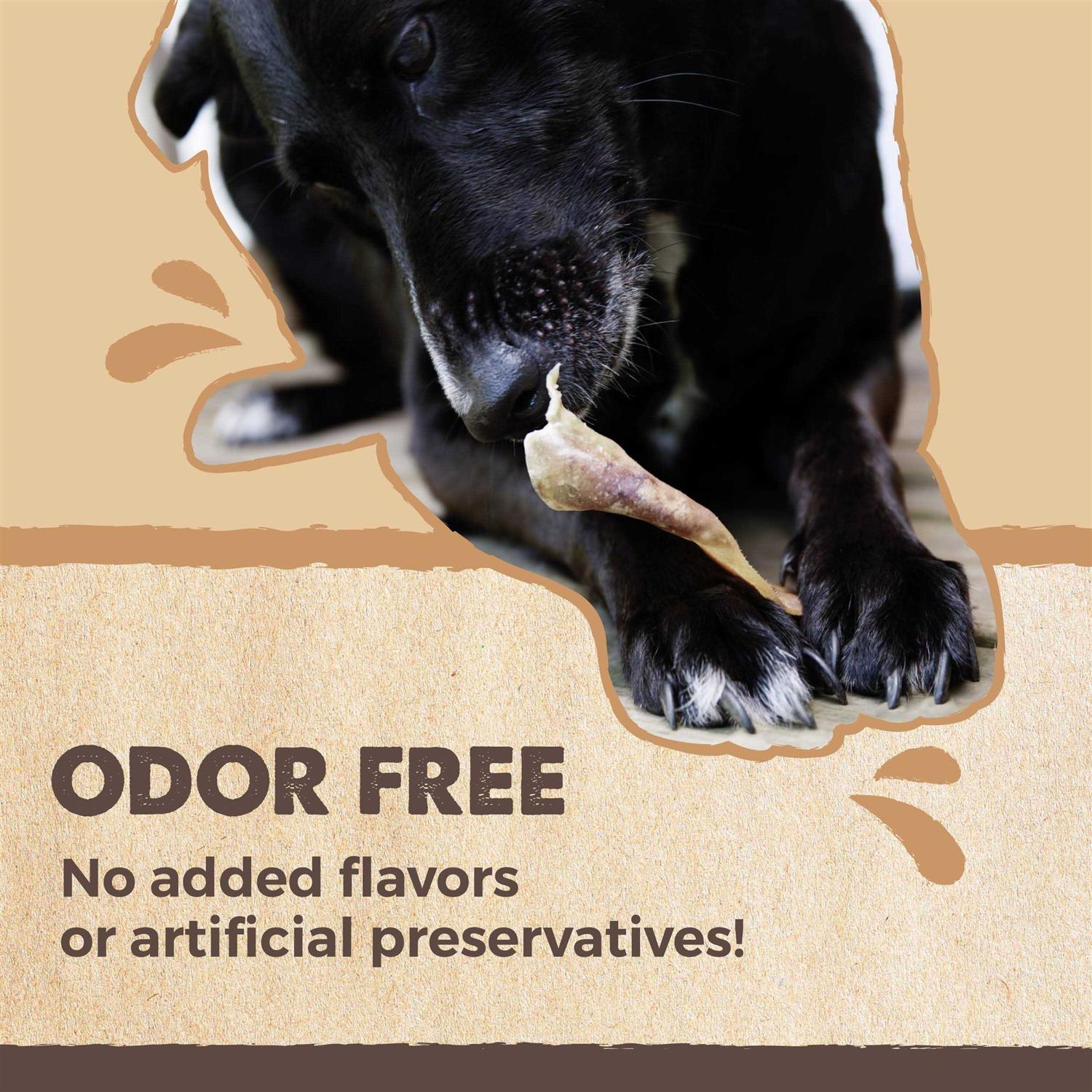 Mighty Paw Half Pig Ears for Dogs All Natural Dried Single Ingredient Dog Treats - Image 4