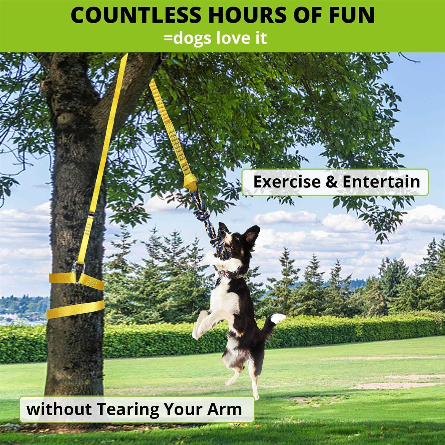 HOKINETY Dog Hanging Bungee Tug Toy Interactive Tether Tug-of-War for Pitbull Small to Large Dogs to Exercise and Fun Solo Play - Image 4