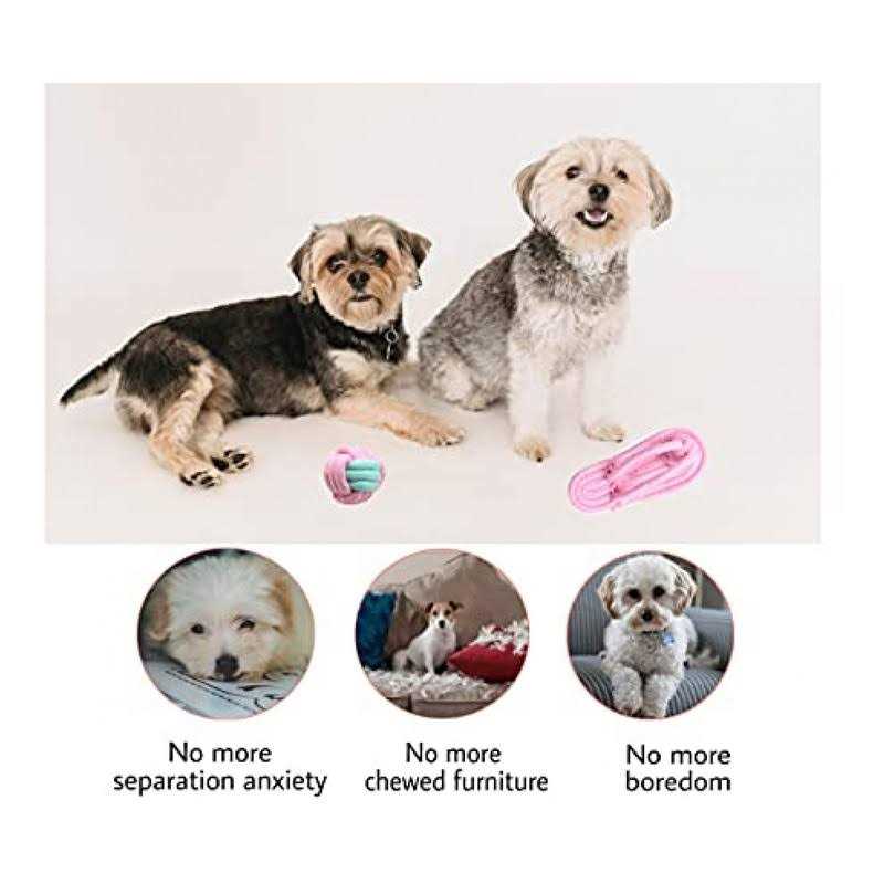 HOKINETY Dog Hanging Bungee Tug Toy Interactive Tether Tug-of-War for Pitbull Small to Large Dogs to Exercise and Fun Solo Play - Image 5