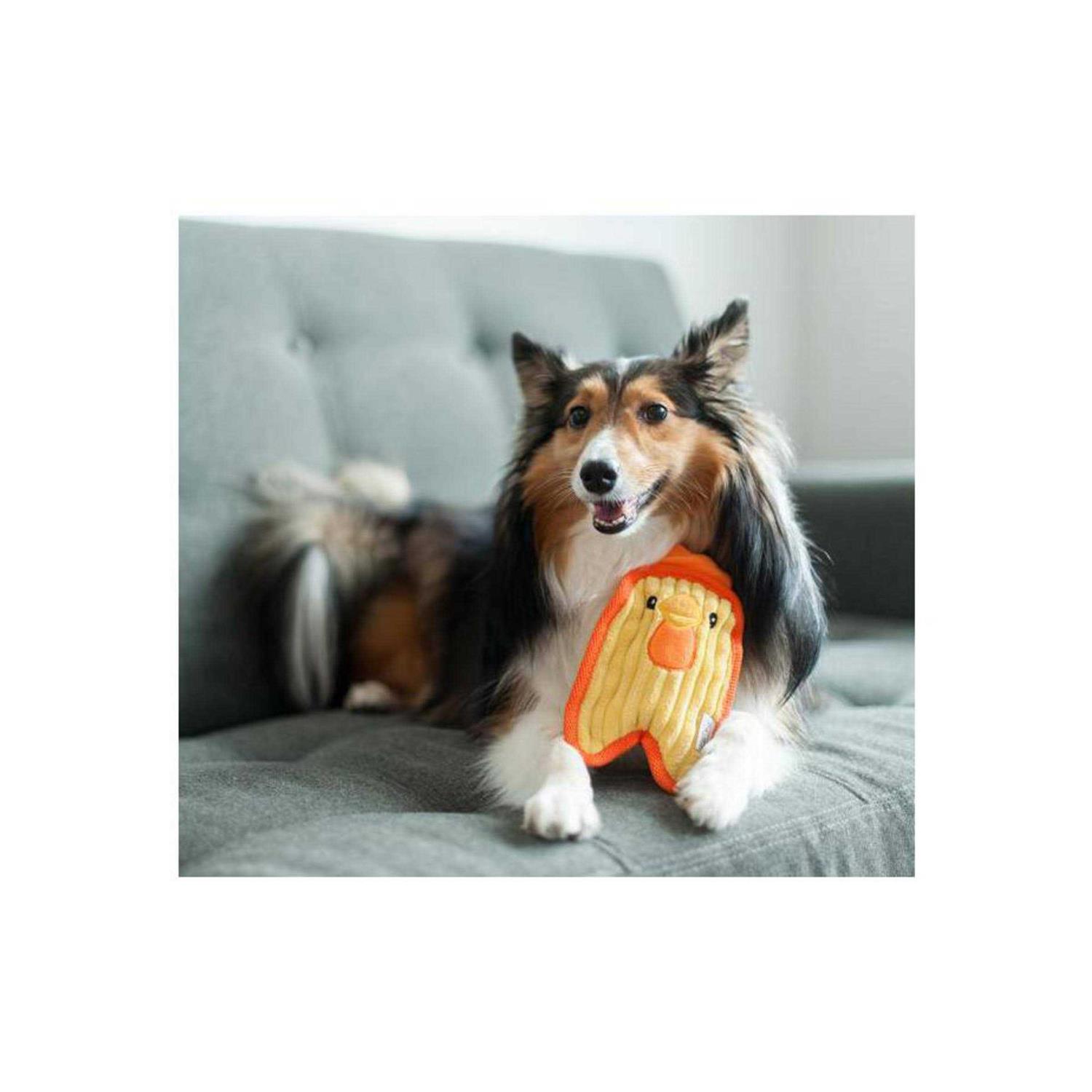 Outward Hound Invincibles Chicky Dog Toy - Image 4