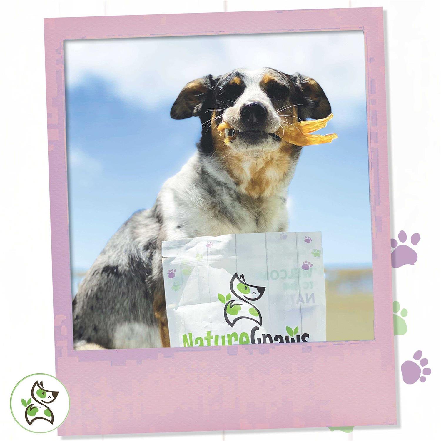 Nature Gnaws Beef Tendon Natural Dog Chews - Image 3