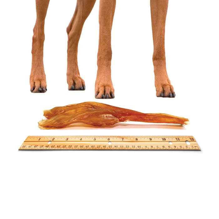 Nature Gnaws Beef Tendon Natural Dog Chews - Image 5