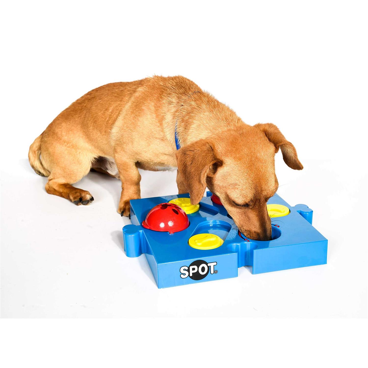 Spot Seek A Treat Flip N Slide Connector Puzzle Interactive Dog Treat and Toy Puzzle - Image 5