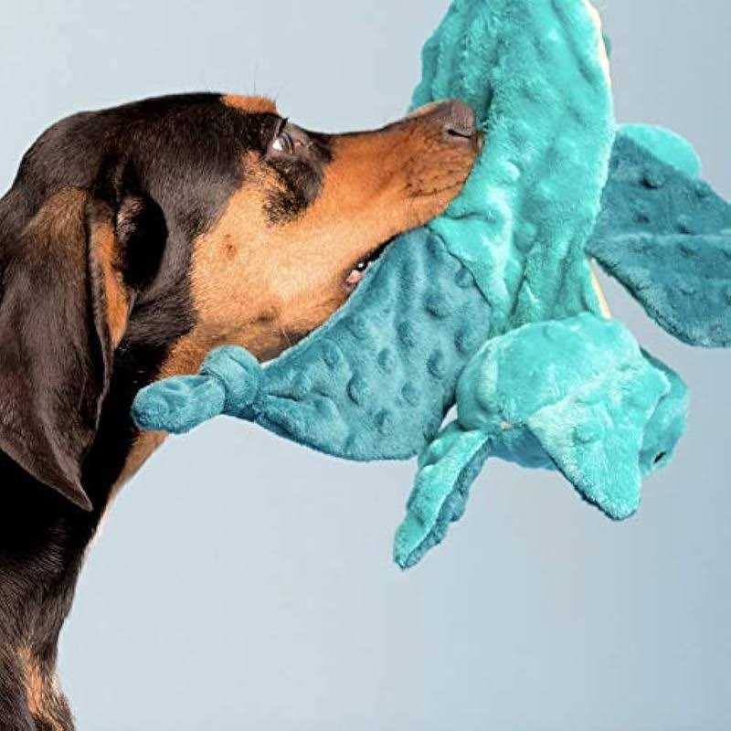 Bark Dingbert the Dragon Plush Dog Toy - Image 5