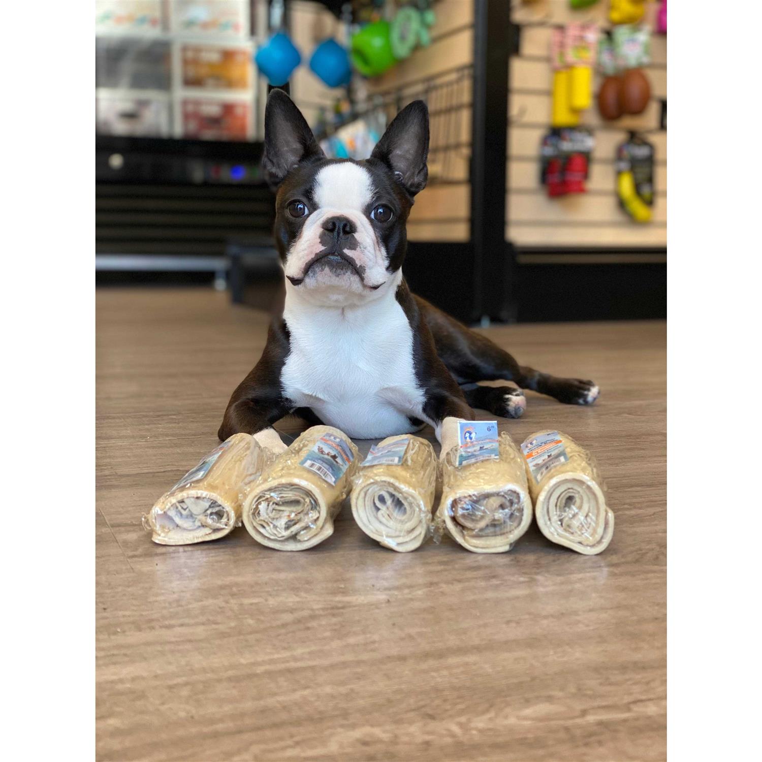 qt Dog Water Buffalo Cheek Roll - Image 5