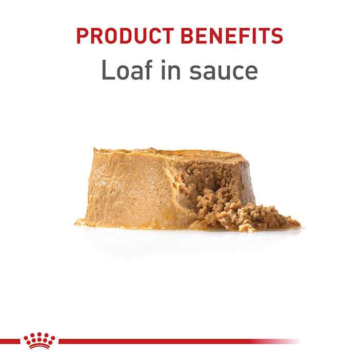 Royal Canin Puppy Canned Dog Food - Image 4