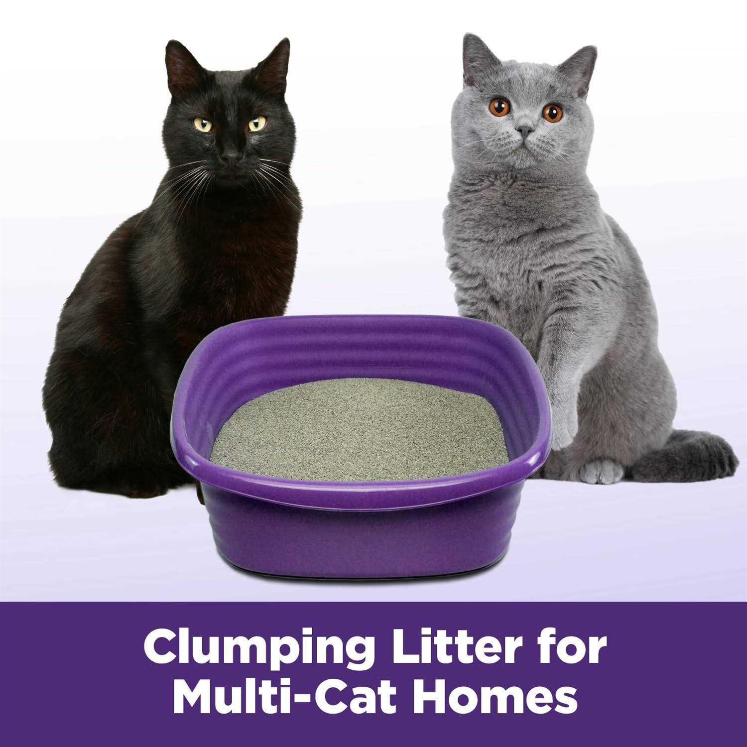 Arm & Hammer Slide Easy Clean-Up Clumping Cat Litter - Image 4