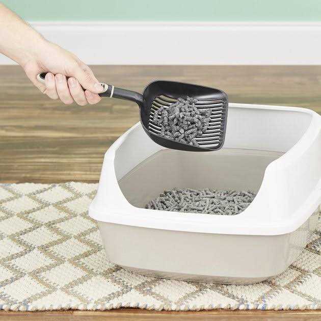 Fresh News Cat Litter - Image 4