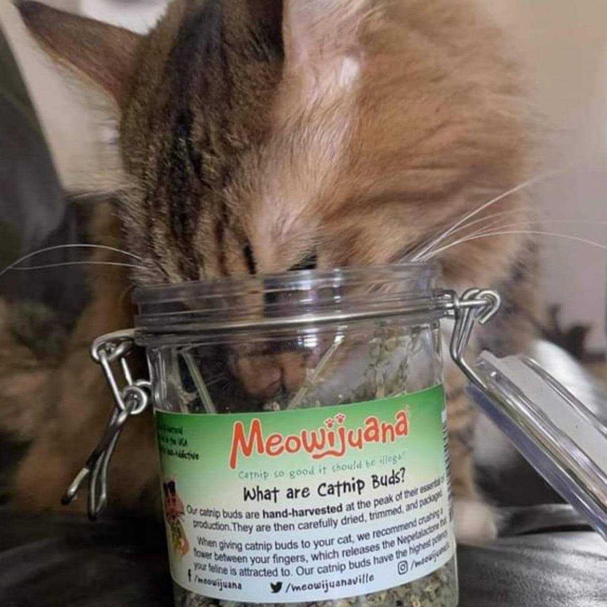 Meowijuana Catnip Buds - Image 3