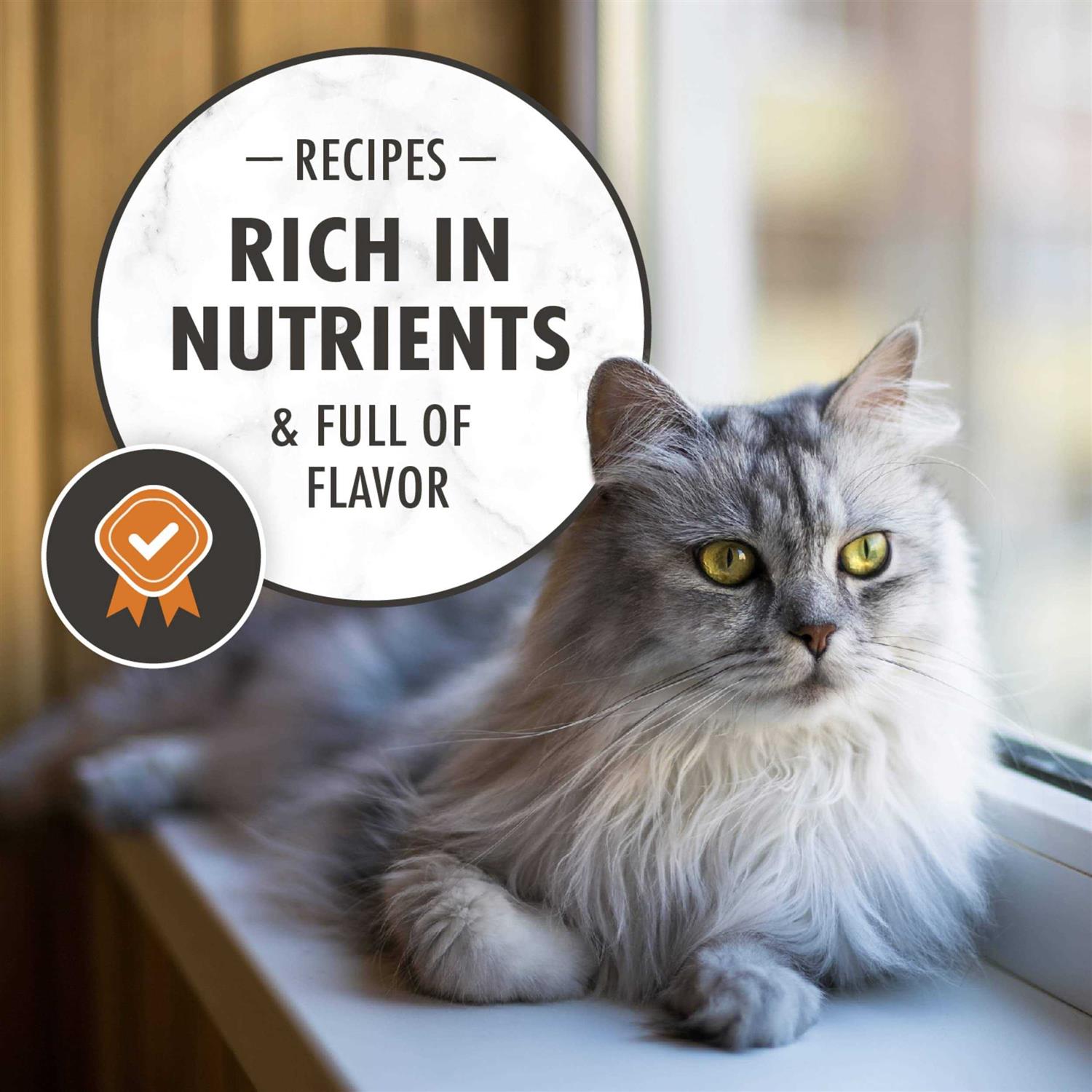Nutro Adult Indoor Cat Dry Food - Image 4