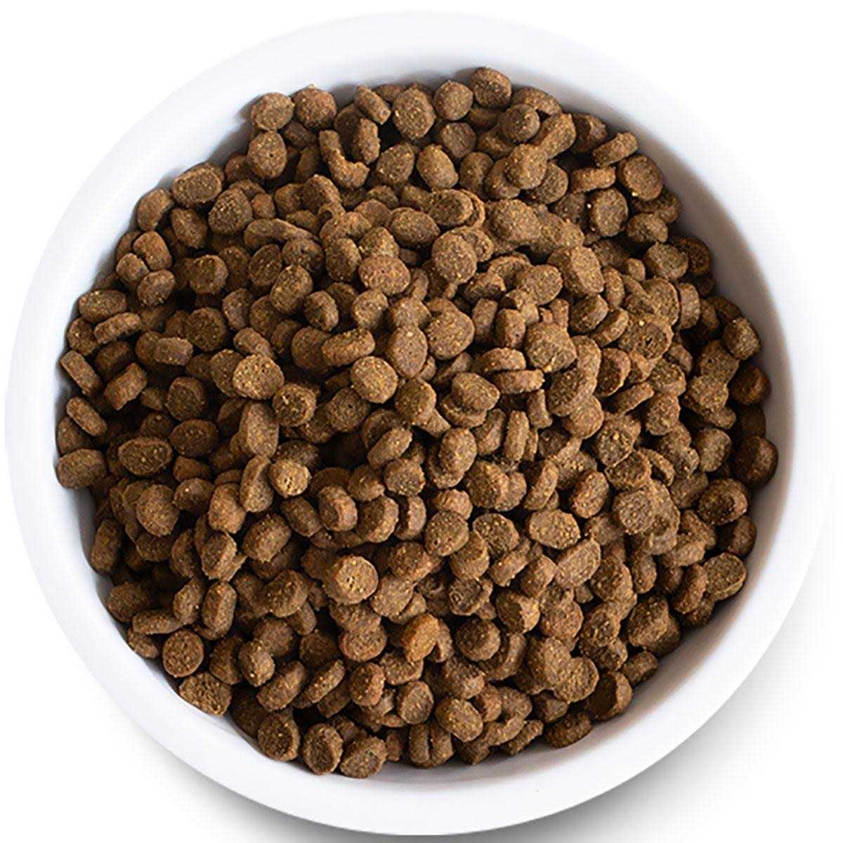 Open Farm Wild-Caught Salmon Grain-Free Dry Cat Food - Image 4