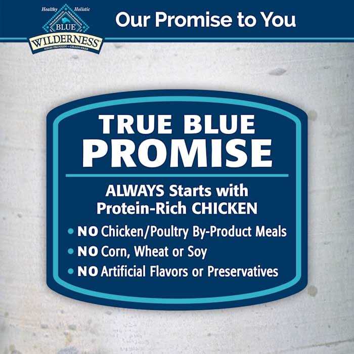 Blue Buffalo Wilderness Chicken & Duck Grain-Free Cat Treats - Image 3
