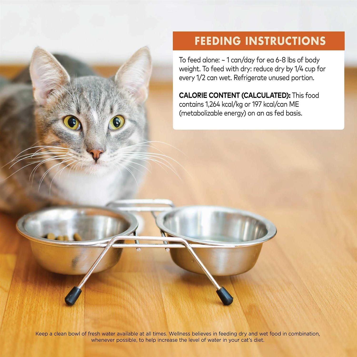 Wellness Core 95% Cat Food - Image 4