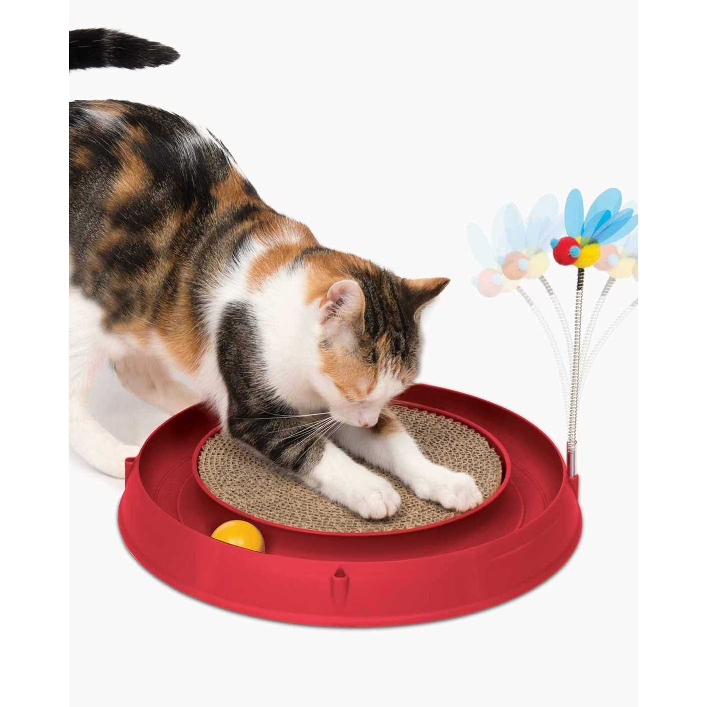 Catit Play Circuit Ball with Massager Cat Toy - Image 3