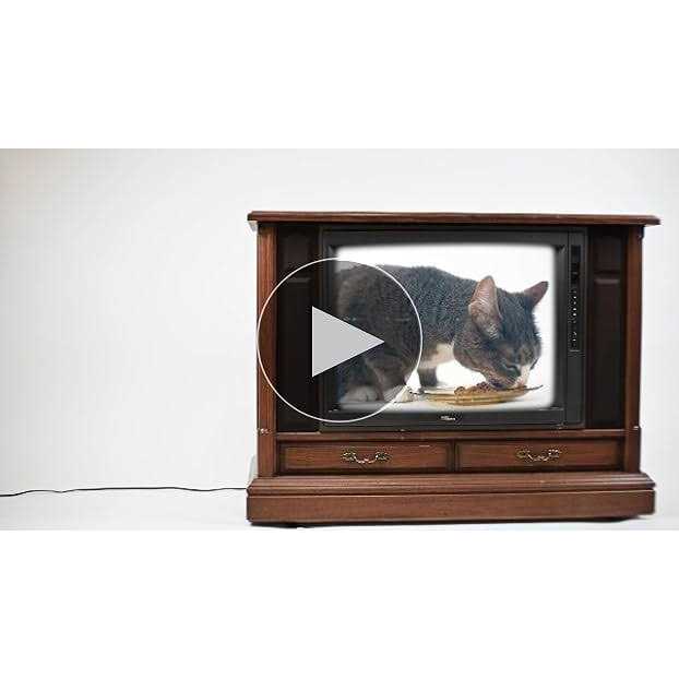 Bixbi Liberty Tuna Recipe Cat Food - Image 4